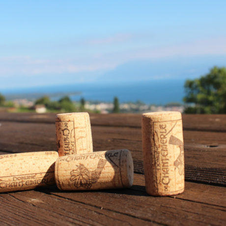 Domaine de Chantemerle